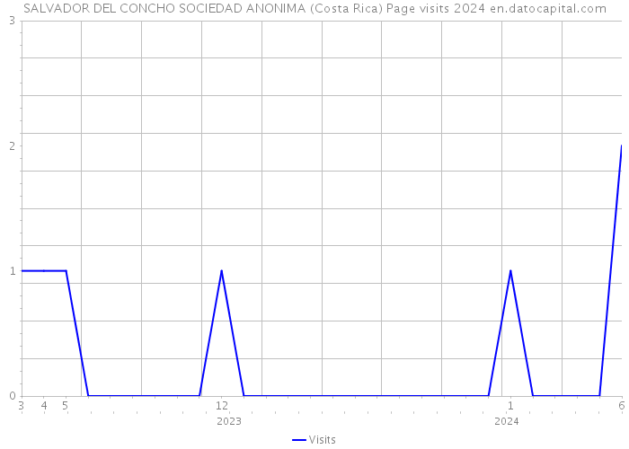 SALVADOR DEL CONCHO SOCIEDAD ANONIMA (Costa Rica) Page visits 2024 