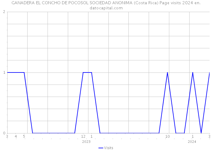 GANADERA EL CONCHO DE POCOSOL SOCIEDAD ANONIMA (Costa Rica) Page visits 2024 
