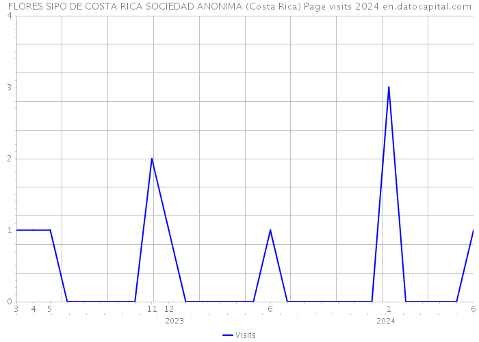 FLORES SIPO DE COSTA RICA SOCIEDAD ANONIMA (Costa Rica) Page visits 2024 