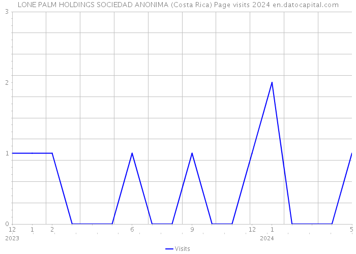 LONE PALM HOLDINGS SOCIEDAD ANONIMA (Costa Rica) Page visits 2024 