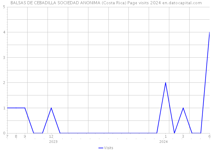 BALSAS DE CEBADILLA SOCIEDAD ANONIMA (Costa Rica) Page visits 2024 