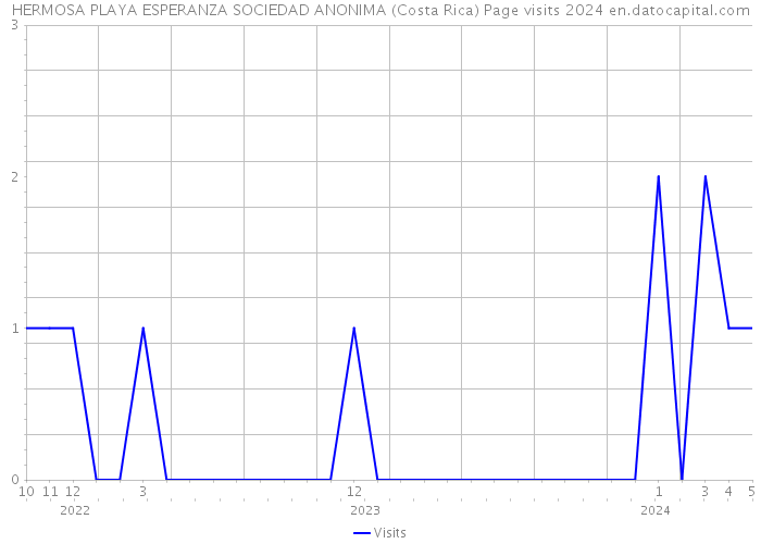 HERMOSA PLAYA ESPERANZA SOCIEDAD ANONIMA (Costa Rica) Page visits 2024 