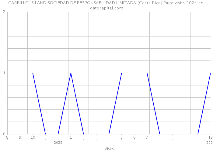 CARRILLO´S LAND SOCIEDAD DE RESPONSABILIDAD LIMITADA (Costa Rica) Page visits 2024 