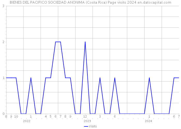 BIENES DEL PACIFICO SOCIEDAD ANONIMA (Costa Rica) Page visits 2024 