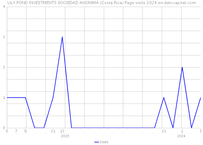 LILY POND INVESTMENTS SOCIEDAD ANONIMA (Costa Rica) Page visits 2024 