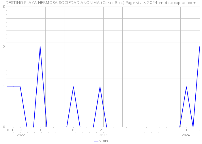 DESTINO PLAYA HERMOSA SOCIEDAD ANONIMA (Costa Rica) Page visits 2024 