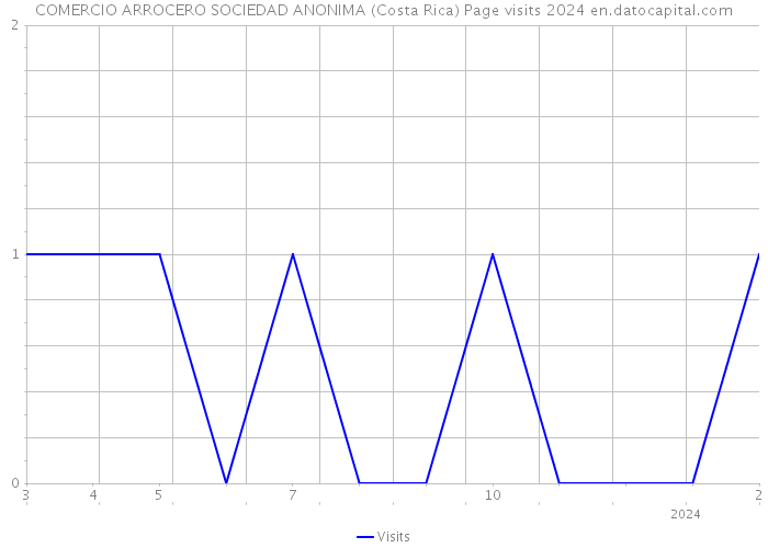 COMERCIO ARROCERO SOCIEDAD ANONIMA (Costa Rica) Page visits 2024 