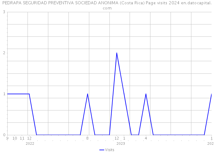 PEDRAPA SEGURIDAD PREVENTIVA SOCIEDAD ANONIMA (Costa Rica) Page visits 2024 