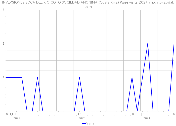 INVERSIONES BOCA DEL RIO COTO SOCIEDAD ANONIMA (Costa Rica) Page visits 2024 