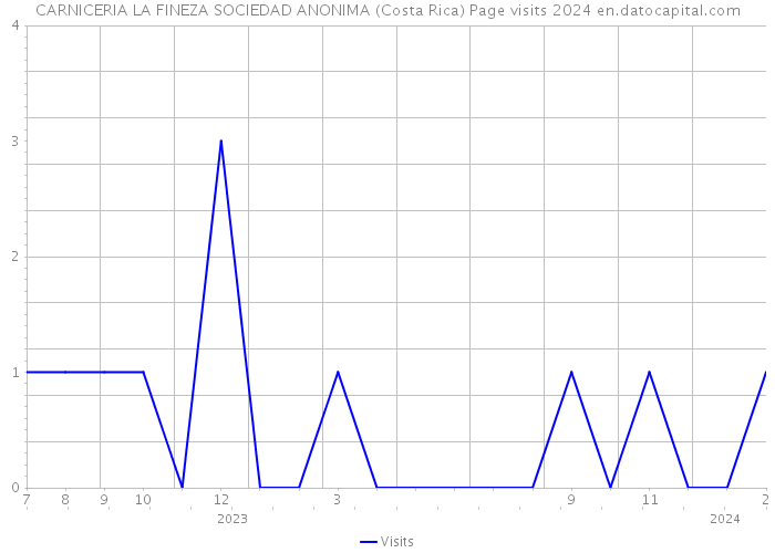 CARNICERIA LA FINEZA SOCIEDAD ANONIMA (Costa Rica) Page visits 2024 