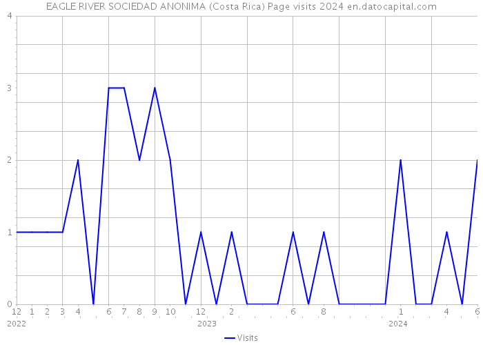 EAGLE RIVER SOCIEDAD ANONIMA (Costa Rica) Page visits 2024 