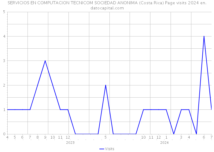 SERVICIOS EN COMPUTACION TECNICOM SOCIEDAD ANONIMA (Costa Rica) Page visits 2024 
