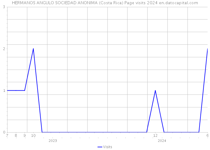 HERMANOS ANGULO SOCIEDAD ANONIMA (Costa Rica) Page visits 2024 