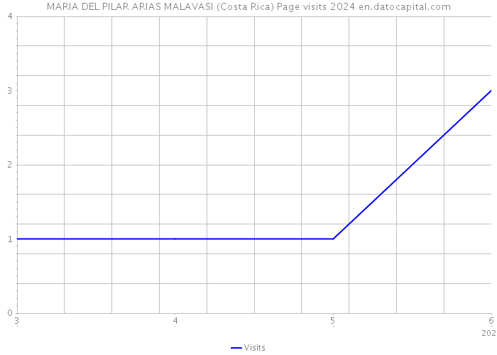 MARIA DEL PILAR ARIAS MALAVASI (Costa Rica) Page visits 2024 