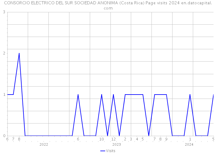 CONSORCIO ELECTRICO DEL SUR SOCIEDAD ANONIMA (Costa Rica) Page visits 2024 