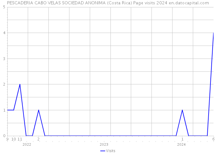 PESCADERIA CABO VELAS SOCIEDAD ANONIMA (Costa Rica) Page visits 2024 