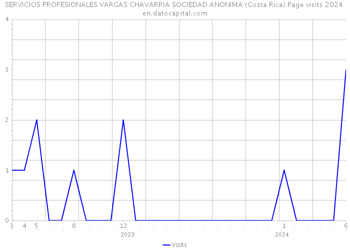 SERVICIOS PROFESIONALES VARGAS CHAVARRIA SOCIEDAD ANONIMA (Costa Rica) Page visits 2024 