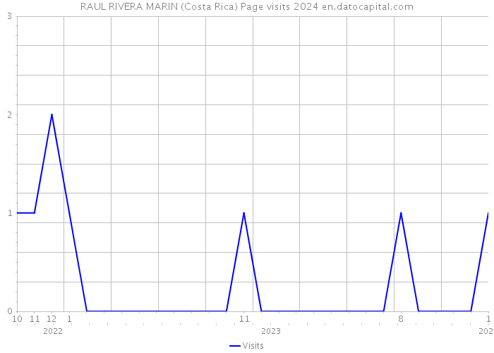 RAUL RIVERA MARIN (Costa Rica) Page visits 2024 