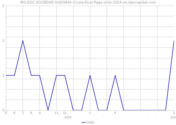 BIG DOG SOCIEDAD ANONIMA (Costa Rica) Page visits 2024 