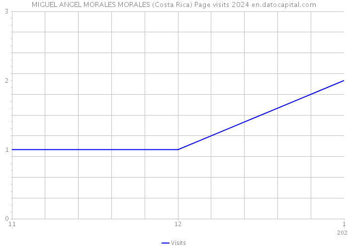 MIGUEL ANGEL MORALES MORALES (Costa Rica) Page visits 2024 
