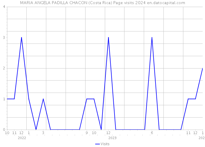 MARIA ANGELA PADILLA CHACON (Costa Rica) Page visits 2024 