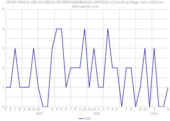 GRUPO PRAGA S&S SOCIEDAD DE RESPONSABILIDAD LIMITADA (Costa Rica) Page visits 2024 