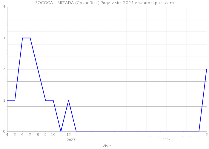 SOCOGA LIMITADA (Costa Rica) Page visits 2024 