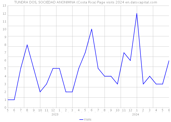 TUNDRA DOS, SOCIEDAD ANONIMNA (Costa Rica) Page visits 2024 