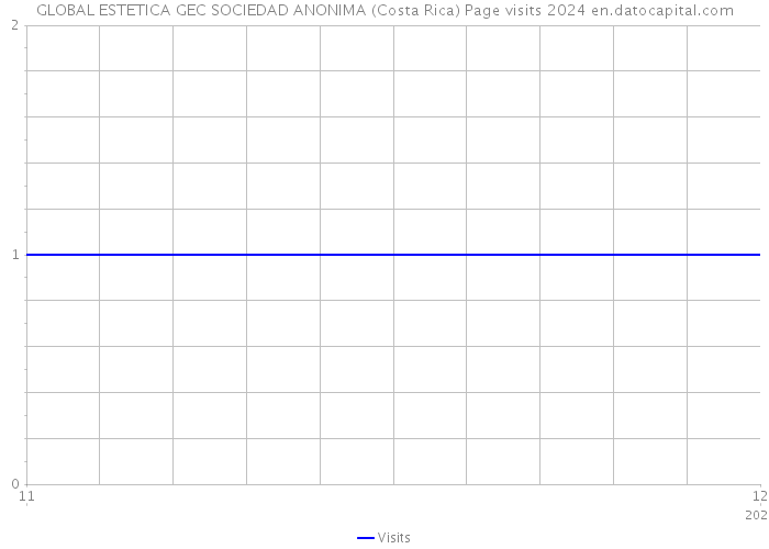 GLOBAL ESTETICA GEC SOCIEDAD ANONIMA (Costa Rica) Page visits 2024 