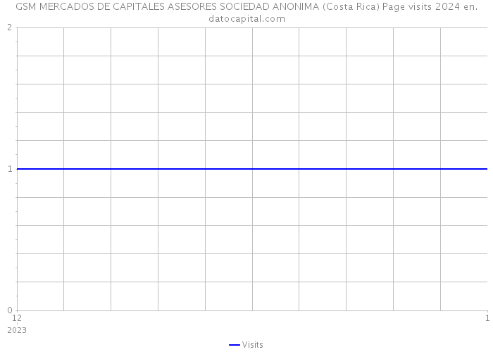 GSM MERCADOS DE CAPITALES ASESORES SOCIEDAD ANONIMA (Costa Rica) Page visits 2024 