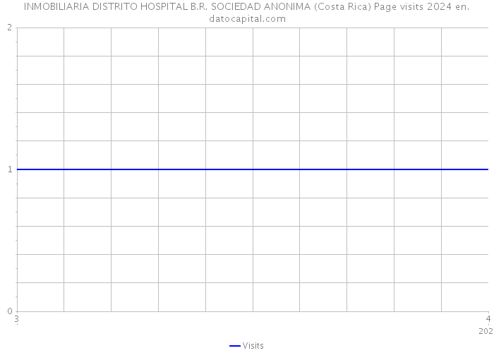 INMOBILIARIA DISTRITO HOSPITAL B.R. SOCIEDAD ANONIMA (Costa Rica) Page visits 2024 