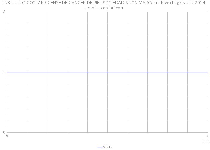 INSTITUTO COSTARRICENSE DE CANCER DE PIEL SOCIEDAD ANONIMA (Costa Rica) Page visits 2024 