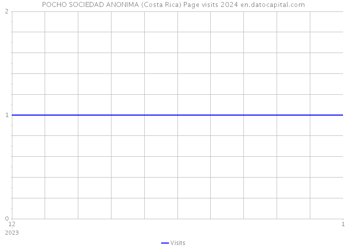 POCHO SOCIEDAD ANONIMA (Costa Rica) Page visits 2024 