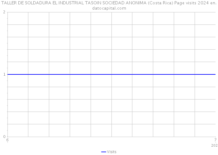 TALLER DE SOLDADURA EL INDUSTRIAL TASOIN SOCIEDAD ANONIMA (Costa Rica) Page visits 2024 