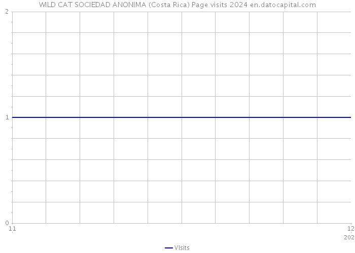 WILD CAT SOCIEDAD ANONIMA (Costa Rica) Page visits 2024 