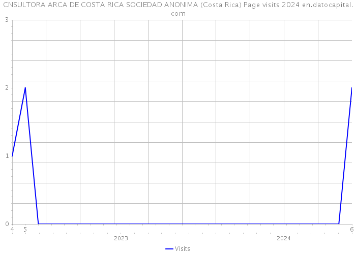 CNSULTORA ARCA DE COSTA RICA SOCIEDAD ANONIMA (Costa Rica) Page visits 2024 