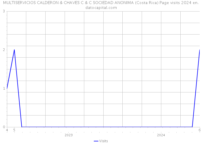 MULTISERVICIOS CALDERON & CHAVES C & C SOCIEDAD ANONIMA (Costa Rica) Page visits 2024 