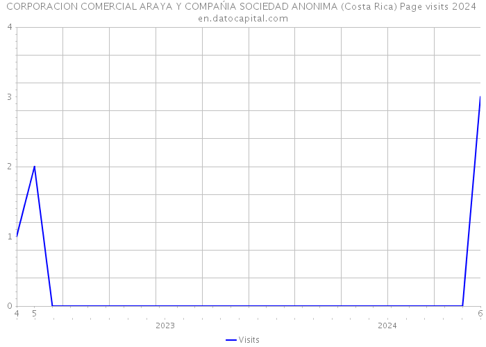 CORPORACION COMERCIAL ARAYA Y COMPAŃIA SOCIEDAD ANONIMA (Costa Rica) Page visits 2024 