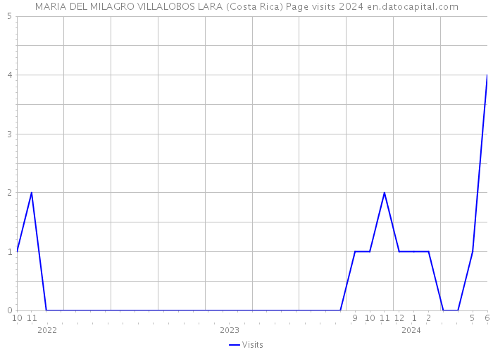 MARIA DEL MILAGRO VILLALOBOS LARA (Costa Rica) Page visits 2024 