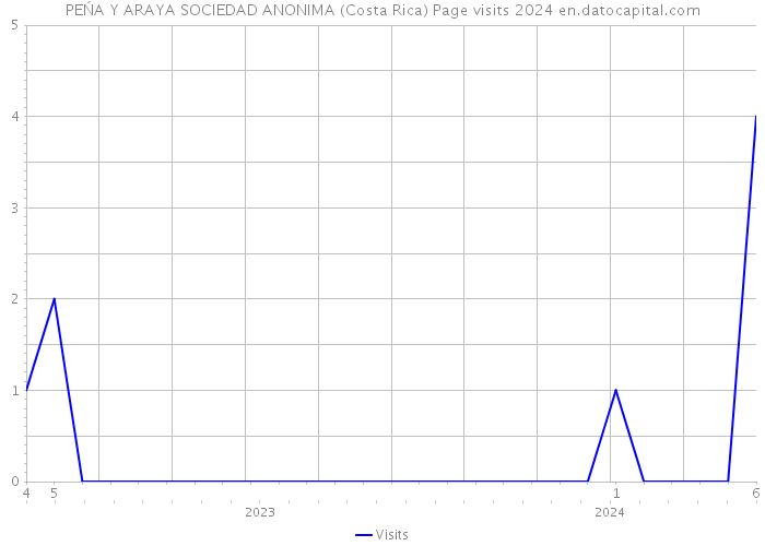 PEŃA Y ARAYA SOCIEDAD ANONIMA (Costa Rica) Page visits 2024 