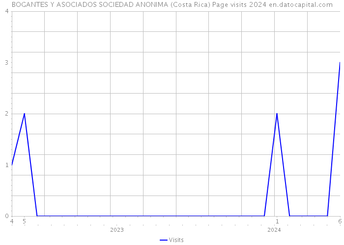 BOGANTES Y ASOCIADOS SOCIEDAD ANONIMA (Costa Rica) Page visits 2024 