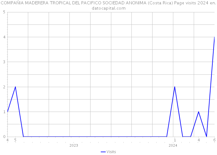 COMPAŃIA MADERERA TROPICAL DEL PACIFICO SOCIEDAD ANONIMA (Costa Rica) Page visits 2024 