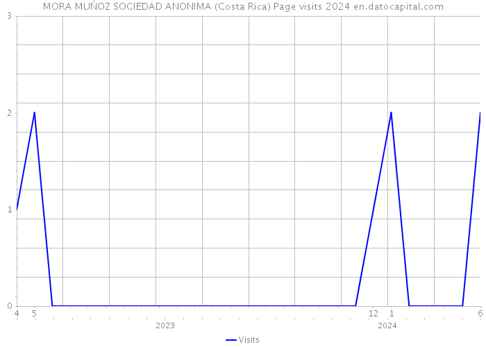 MORA MUŃOZ SOCIEDAD ANONIMA (Costa Rica) Page visits 2024 