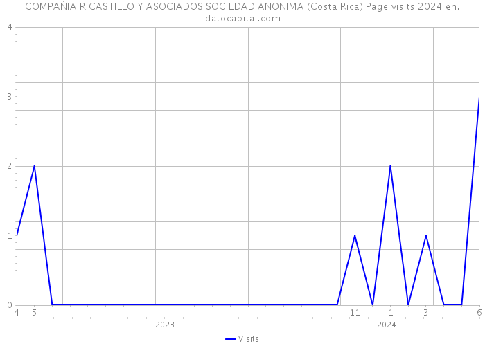 COMPAŃIA R CASTILLO Y ASOCIADOS SOCIEDAD ANONIMA (Costa Rica) Page visits 2024 