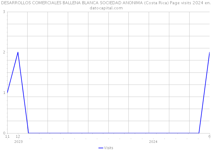 DESARROLLOS COMERCIALES BALLENA BLANCA SOCIEDAD ANONIMA (Costa Rica) Page visits 2024 