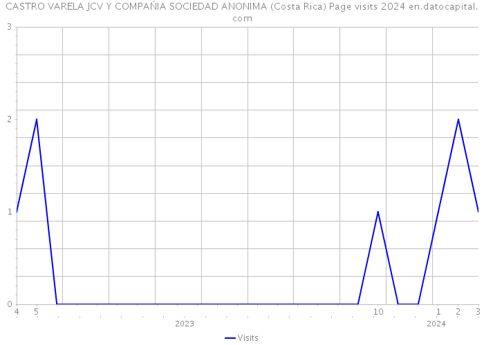 CASTRO VARELA JCV Y COMPAŃIA SOCIEDAD ANONIMA (Costa Rica) Page visits 2024 