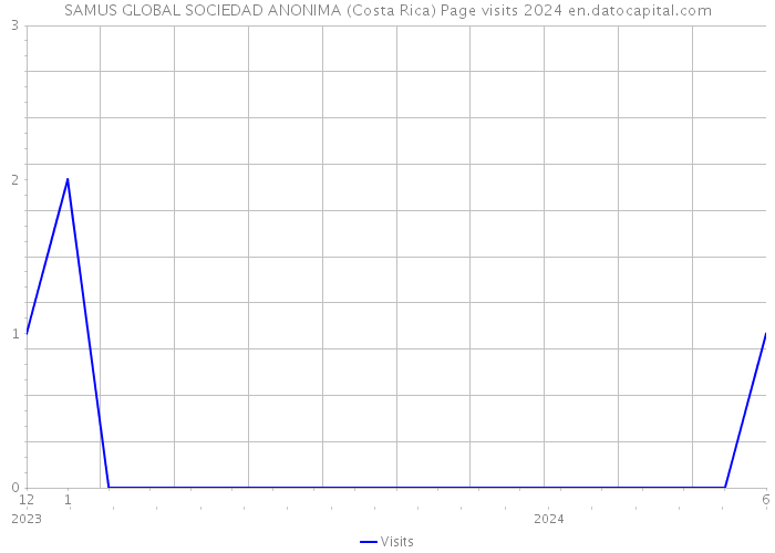 SAMUS GLOBAL SOCIEDAD ANONIMA (Costa Rica) Page visits 2024 