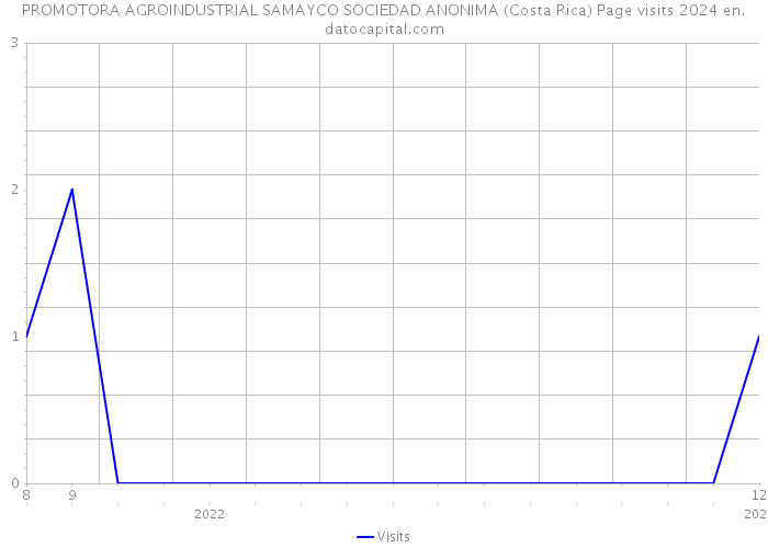 PROMOTORA AGROINDUSTRIAL SAMAYCO SOCIEDAD ANONIMA (Costa Rica) Page visits 2024 