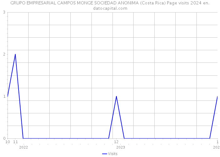 GRUPO EMPRESARIAL CAMPOS MONGE SOCIEDAD ANONIMA (Costa Rica) Page visits 2024 