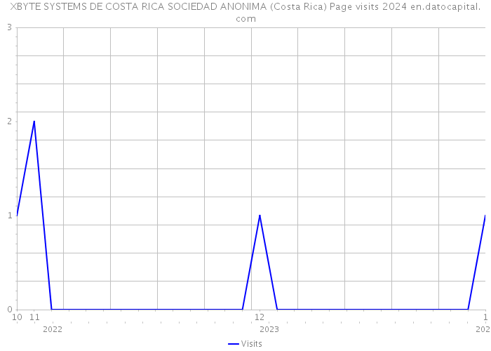 XBYTE SYSTEMS DE COSTA RICA SOCIEDAD ANONIMA (Costa Rica) Page visits 2024 